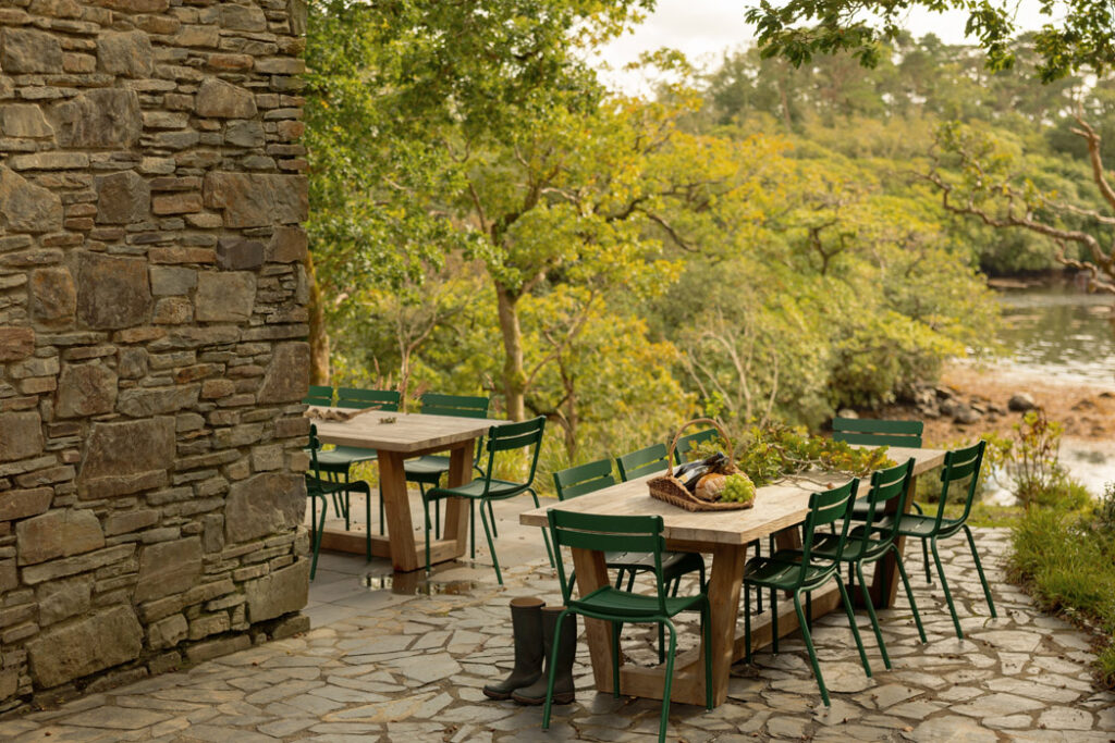 c Alexander Baxter Dromgariff Rainforest Sep 2025 127