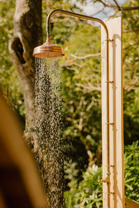 c Alexander Baxter Dromgariff Rainforest Sep 2025 191