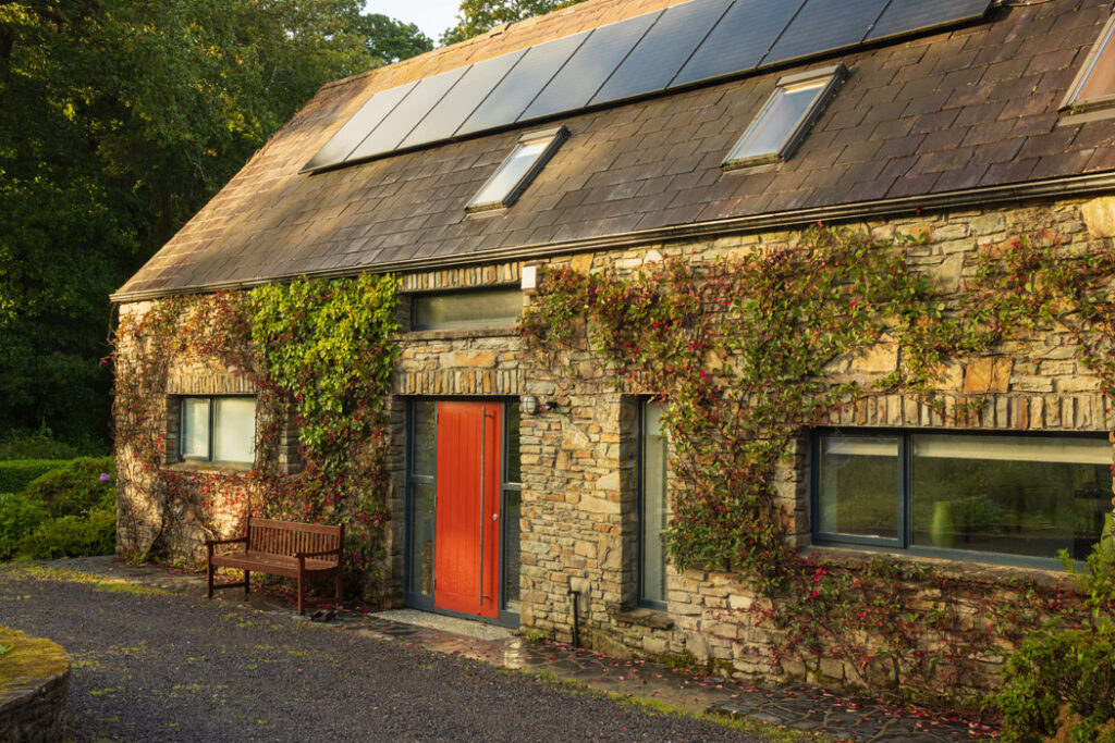 c Alexander Baxter Dromgariff Rainforest Sep 2025 32