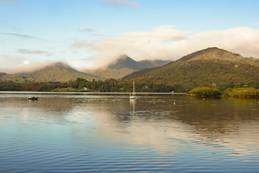 c Alexander Baxter Dromgariff Rainforest Sep 2025 40