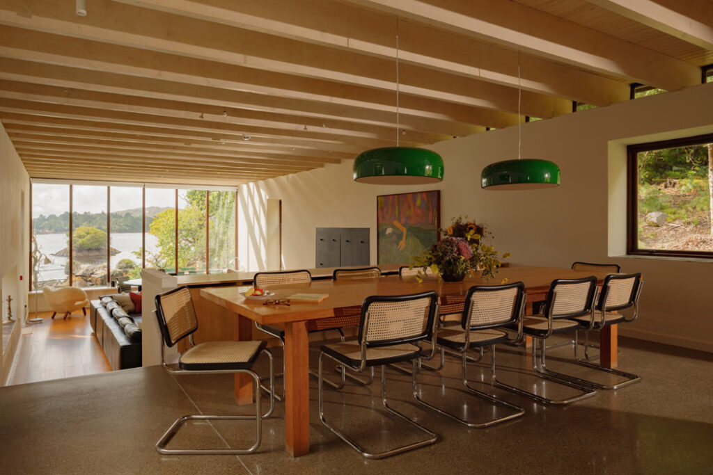 c Alexander Baxter Dromgariff Rainforest Sep 2025 77