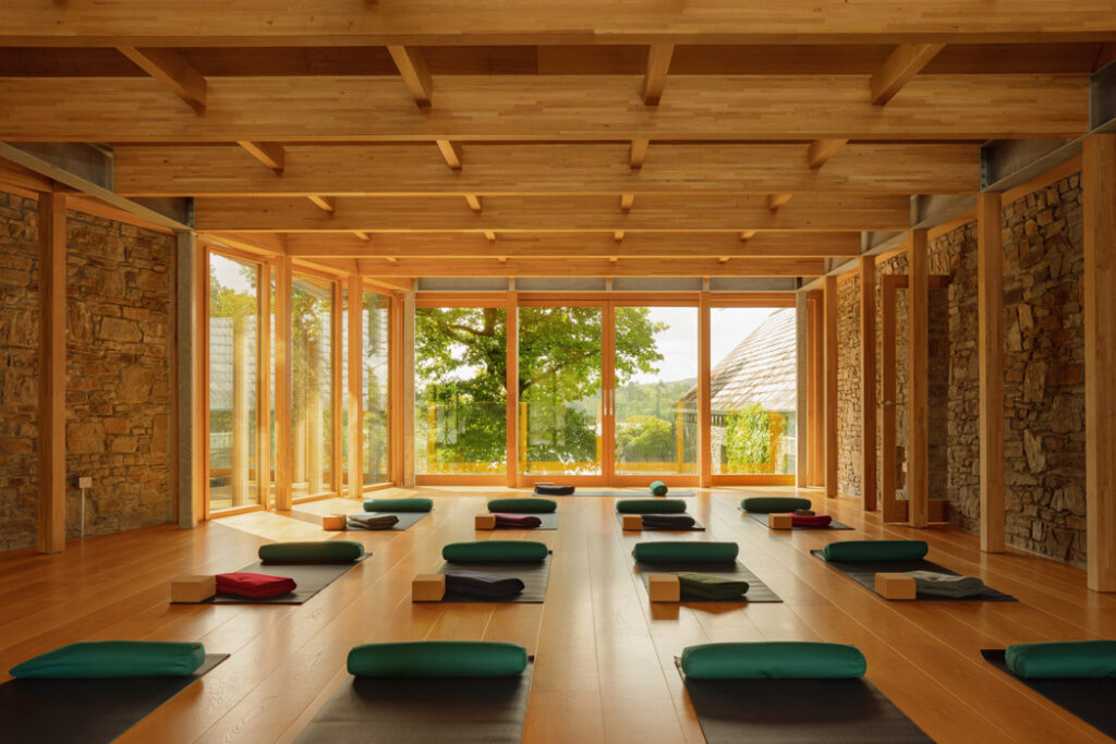 c Alexander Baxter Dromgariff Rainforest Sep 2025 87