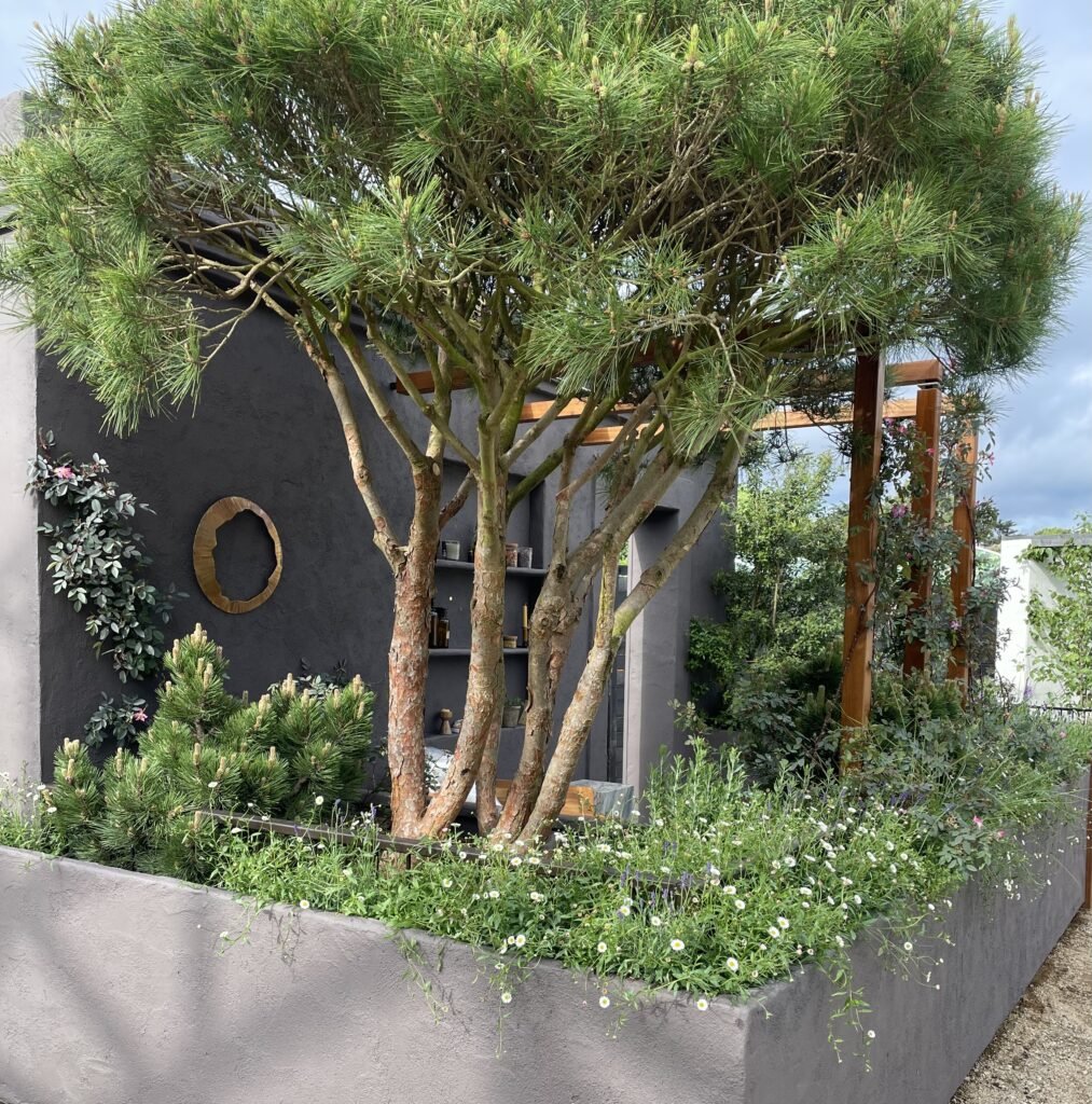 Leonie Cornelius bottles the magic of an inspiring garden at Bloom 5 IMG 6298 1013x1024 1