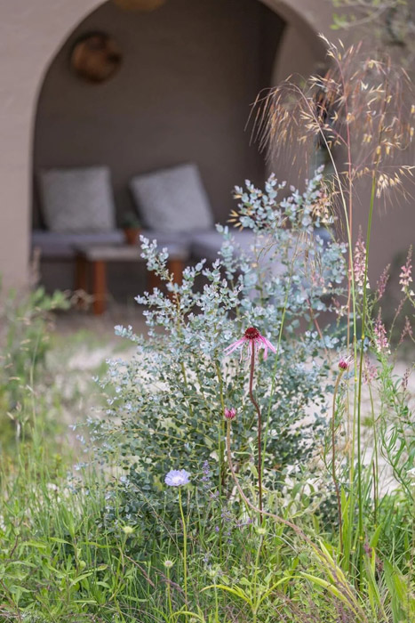 Leonie Cornelius bottles the magic of an inspiring garden at Bloom 6 Leonie Cornelius Bord Bia Bloom Nourish garden4 1024x1536 1