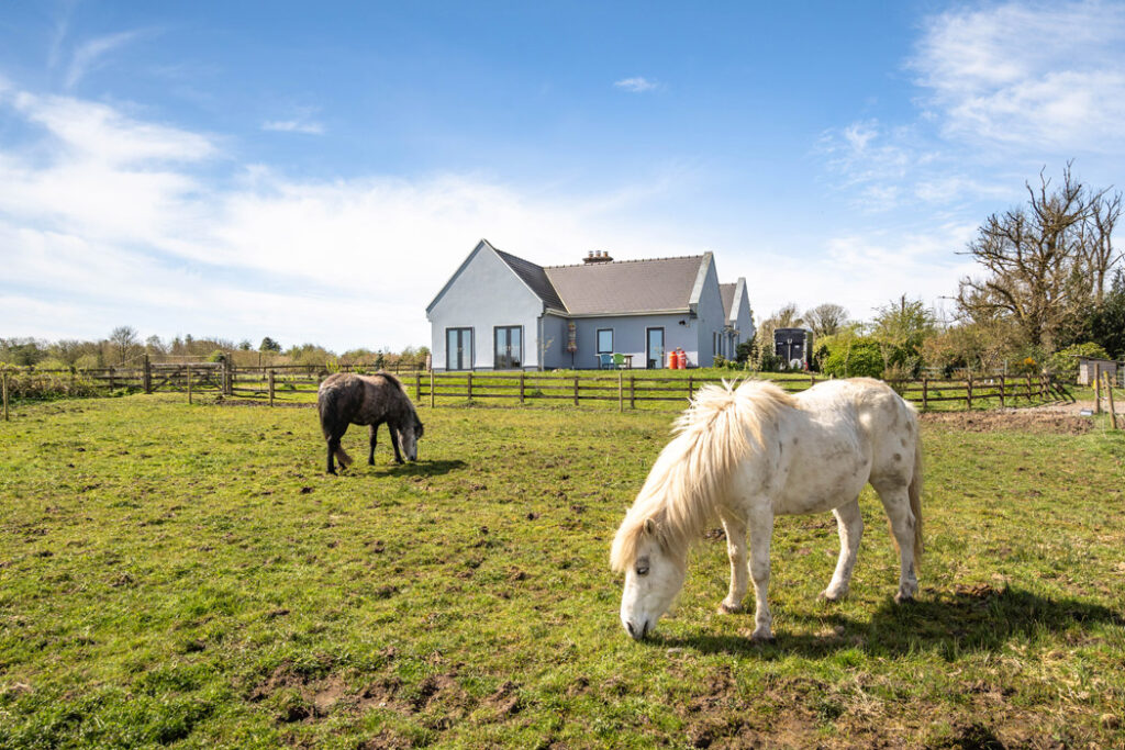 Thatch Cottage 19