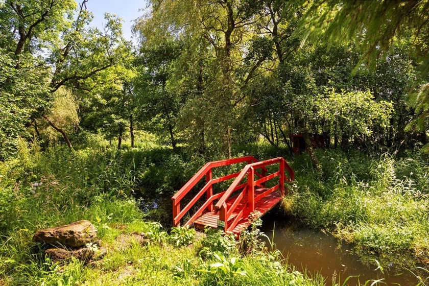 Mill house with the “best water in Ireland” at a great price 9 gardens 1