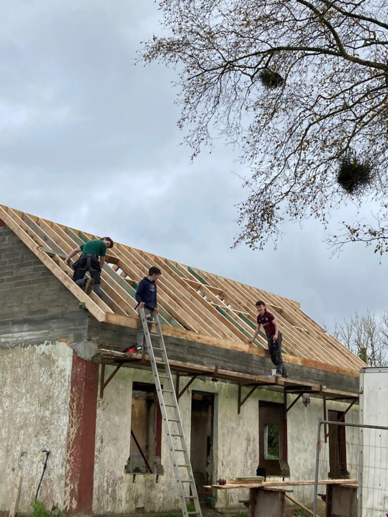 Father and teen son renovate a derelict house into an A-rated space for €245k 2 1000068770