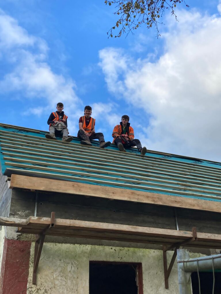 Father and teen son renovate a derelict house into an A-rated space for €245k 10 1000068772
