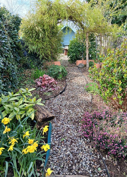 Carlingford Flowers
