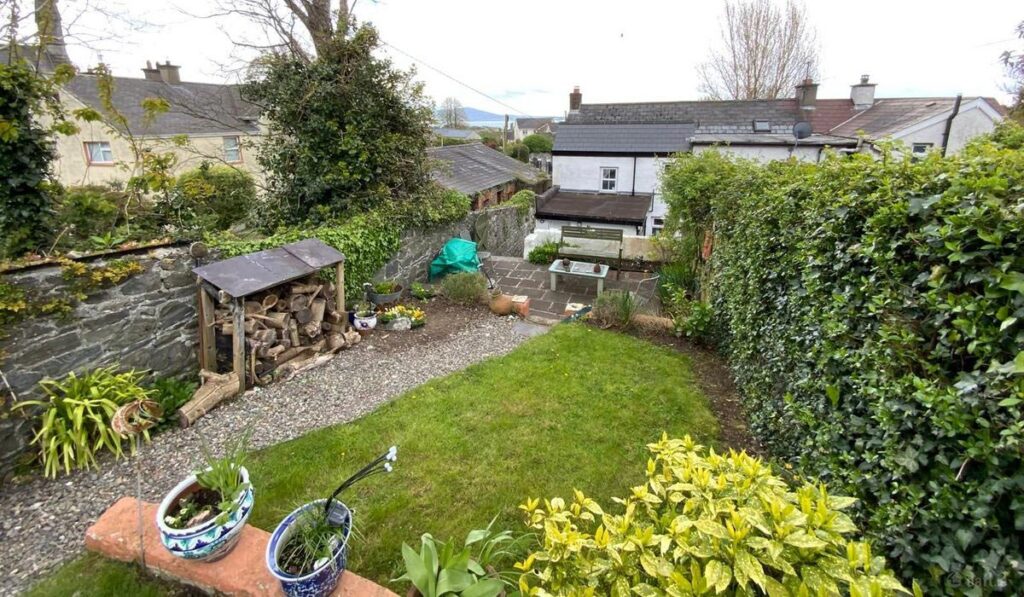 Carlingford View