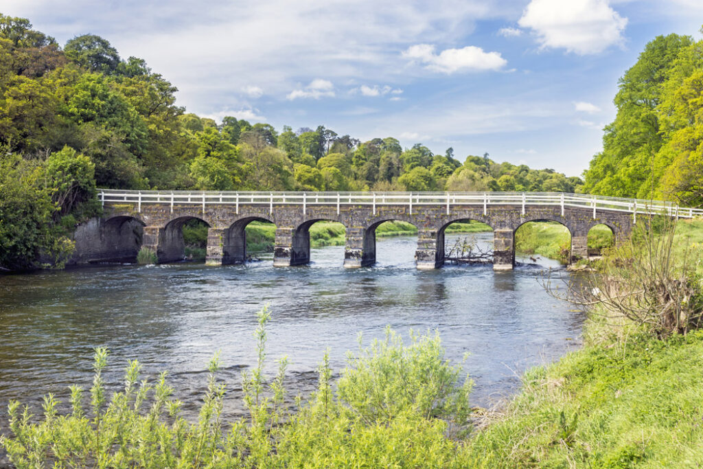 Mount Juliet Website 2