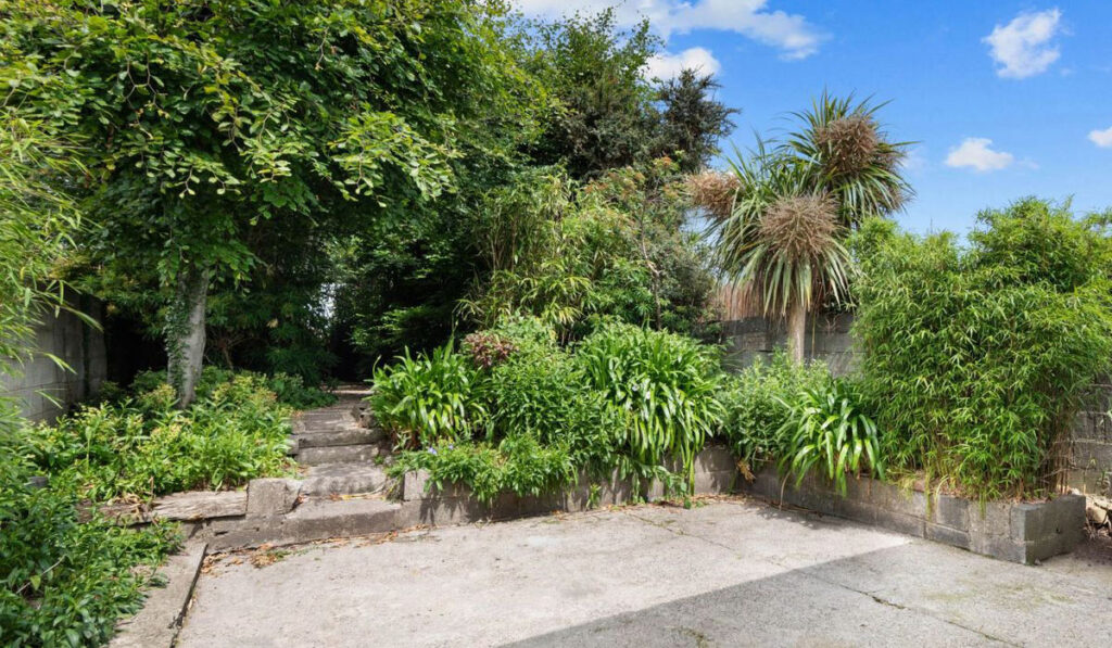 Sallynoggin garden