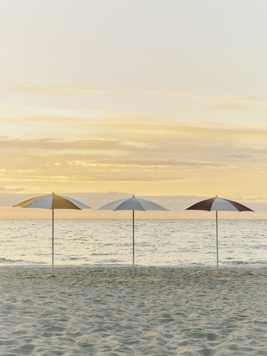 umbrella
