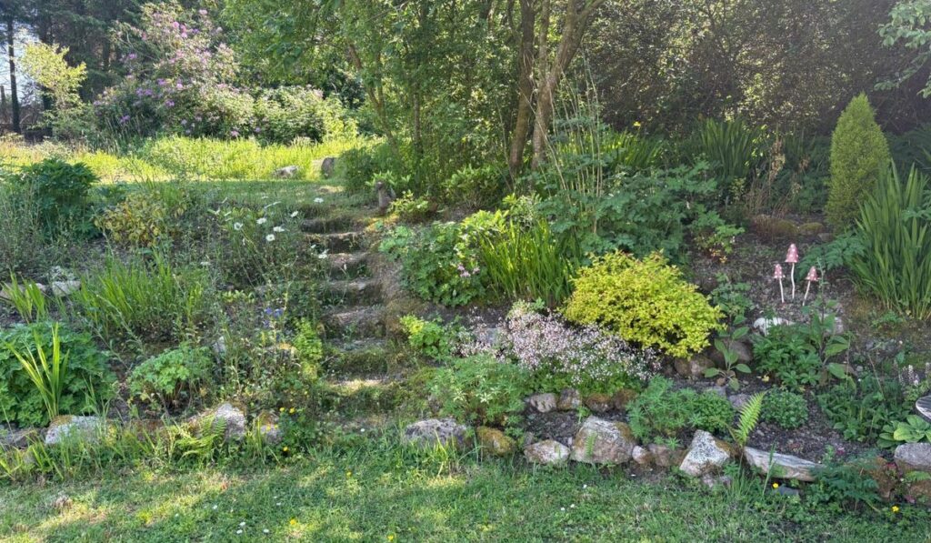 Tuamgraney Garden