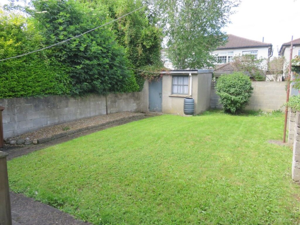 back garden 1