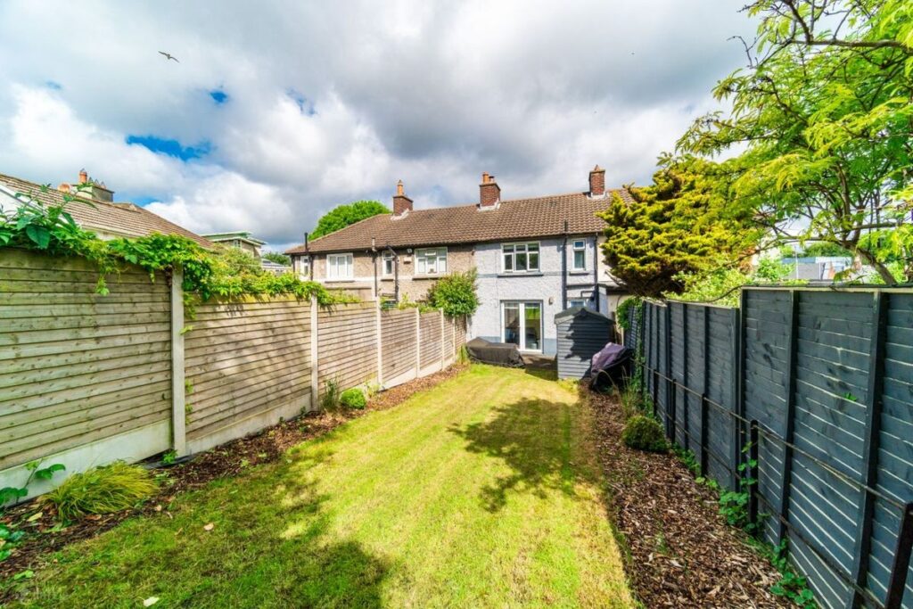 back garden