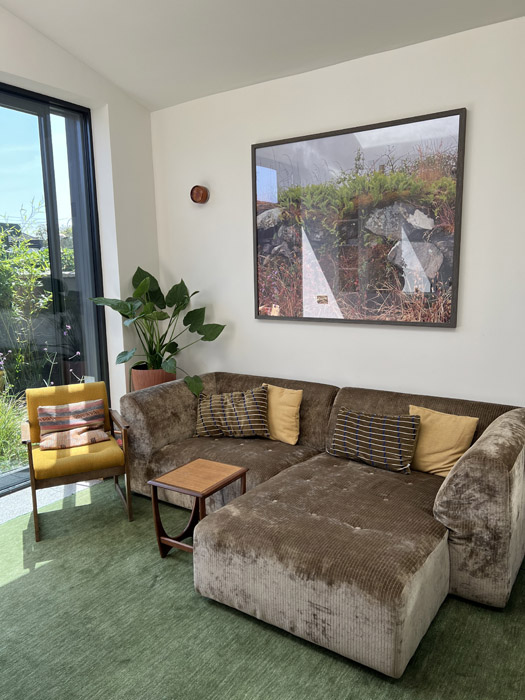 Getting onto the grid: how homeowners in D12 worked the 'oh-so cool' trend 8 2026 07 15 13.46.16
