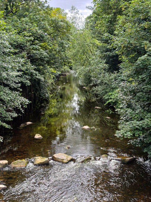 Take me to the two-bed at the bridge on the Dodder’s nature trail seeking €625k 10 20260629 153012