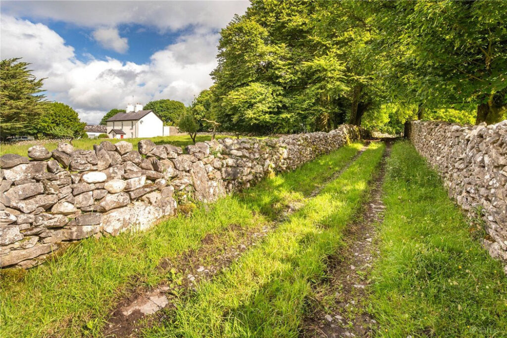 mayo back road
