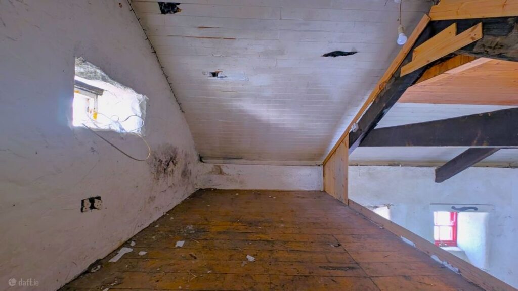 Charlie Chaplin’s daughter's tiny Kerry bolthole comes with a big backstory 9 mezzanine 1