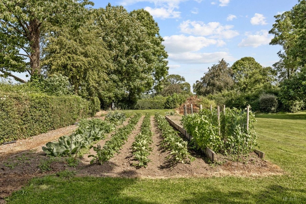 tipperarty veg patch