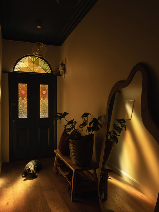 Colour-drenching in traffic light tones reimagines a smart D7 house 3 DSF7158