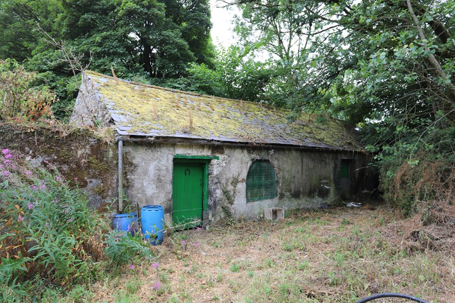 Five locations, one price - what will €345k get you around Ireland 21 IMG 5185 1