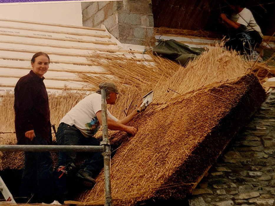 Thatch 2