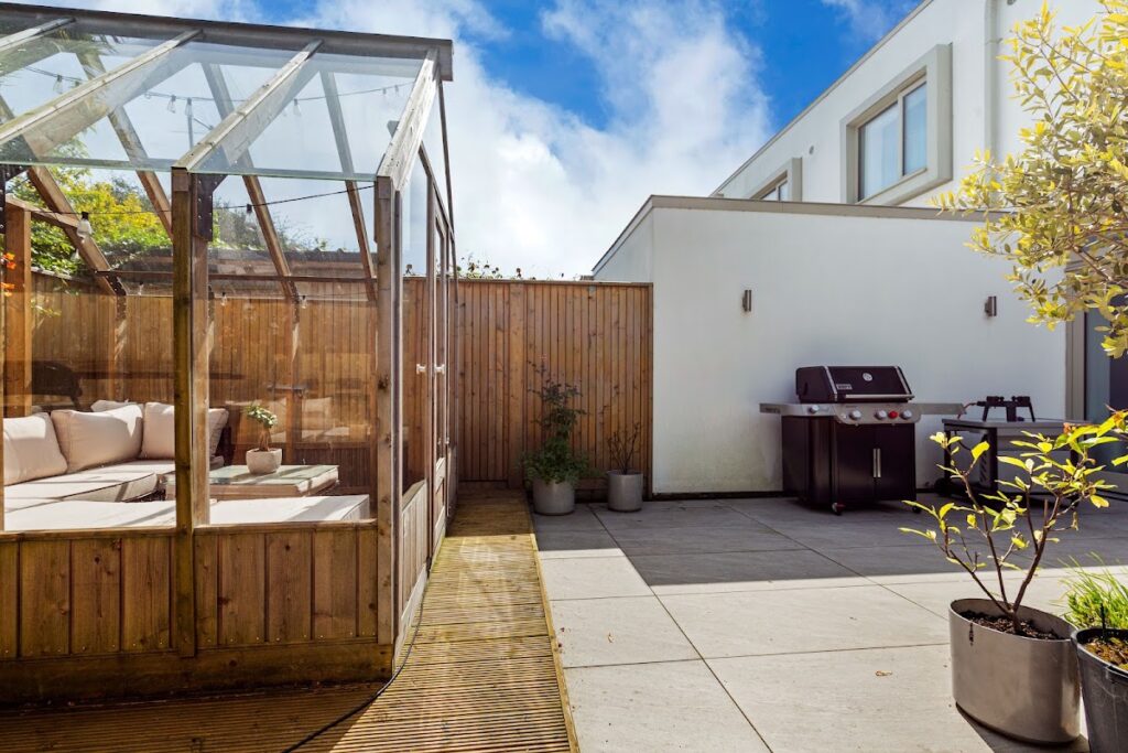 backyard 1