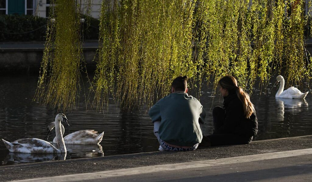 Renting in Dublin: the price of independence in your mid-20s 1 Rent