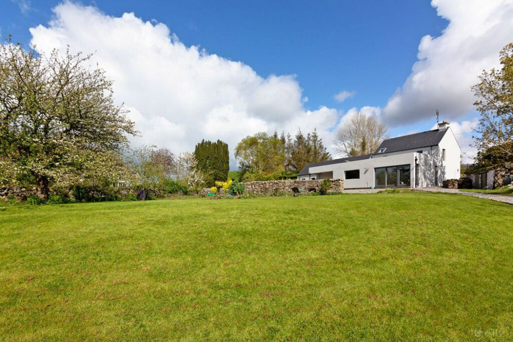 garden lawn