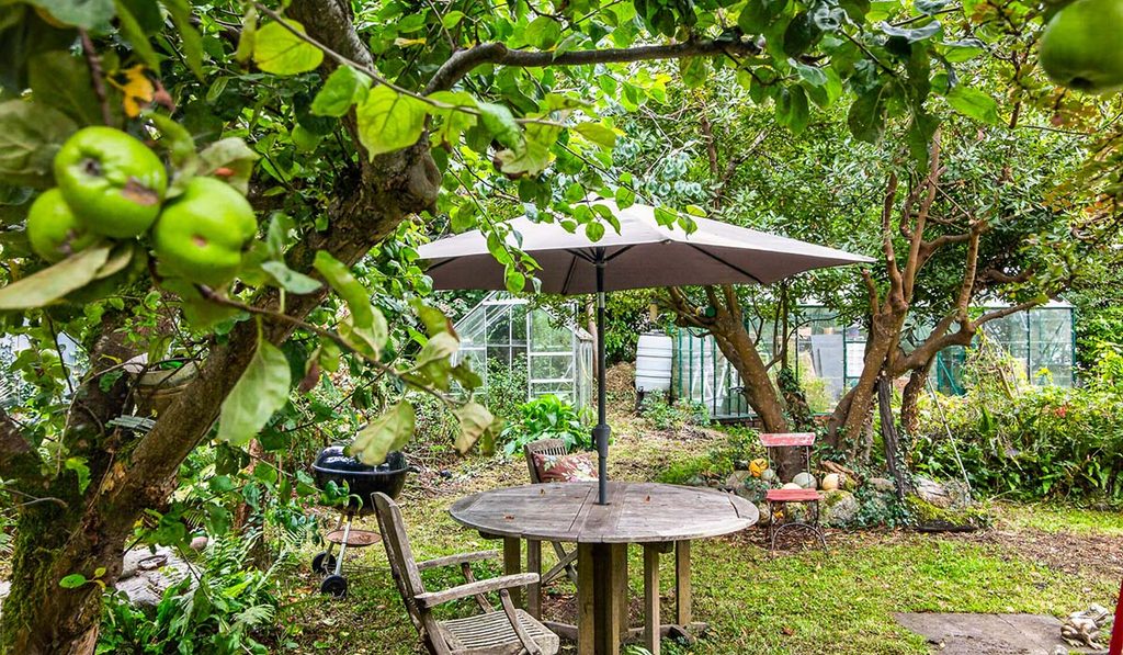 rockview house apple tree
