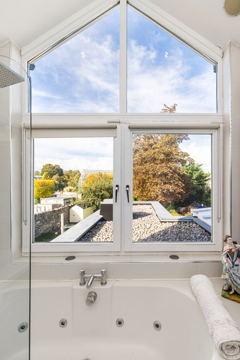 Artsy three-bed late Edwardian in Glasnevin with views of the Botanic Gardens glasshouses 8 98363 R 1 6L7A6498