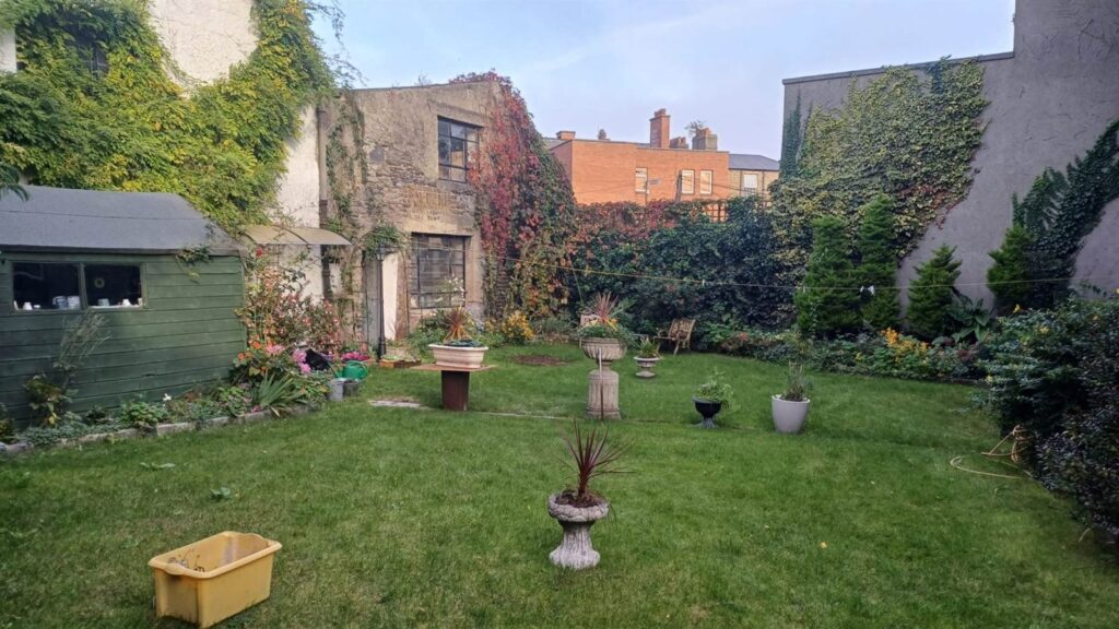garden 3